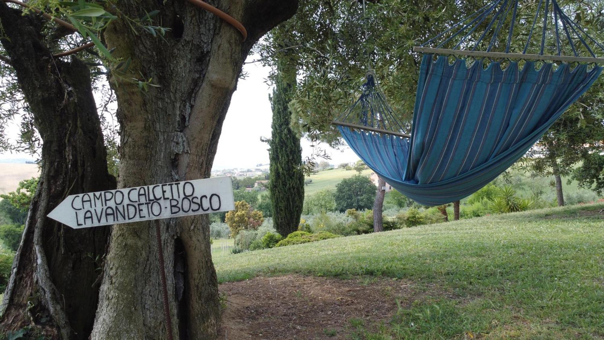 Agriturismo Case Al Sole Loreto Exterior photo
